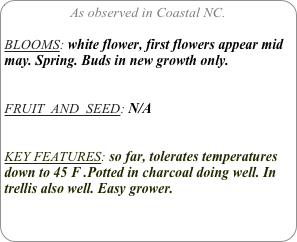 As observed in Coastal NC.

BLOOMS: white flower, first flowers appear mid may. Spring. Buds in new growth only.


FRUIT  AND  SEED: N/A


KEY FEATURES: so far, tolerates temperatures down to 45 F .Potted in charcoal doing well. In trellis also well. Easy grower.