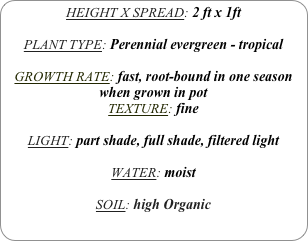 HEIGHT X SPREAD: 2 ft x 1ft

PLANT TYPE: Perennial evergreen - tropical

GROWTH RATE: fast, root-bound in one season when grown in pot
TEXTURE: fine

LIGHT: part shade, full shade, filtered light

WATER: moist

SOIL: high Organic
