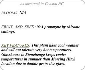 As observed in Coastal NC.

BLOOMS: N/A


FRUIT  AND  SEED: N/A propagate by rhizome cuttings.


KEY FEATURES: This plant likes cool weather and will not tolerate very hot temperatures.
Glasshouse in Stonehenge keeps cooler temperatures in summer than Morring Hitch location due to double protective glass.