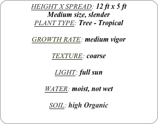 HEIGHT X SPREAD: 12 ft x 5 ft
Medium size, slender
PLANT TYPE: Tree - Tropical

GROWTH RATE: medium vigor

TEXTURE: coarse

LIGHT: full sun

WATER: moist, not wet

SOIL: high Organic
