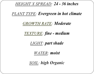 HEIGHT X SPREAD: 24 - 36 inches

PLANT TYPE: Evergreen in hot climate

GROWTH RATE: Moderate

TEXTURE: fine - medium

LIGHT: part shade

WATER: moist

SOIL: high Organic
