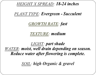 HEIGHT X SPREAD: 18-24 inches

PLANT TYPE: Evergreen - Succulent

GROWTH RATE: fast

TEXTURE: medium

LIGHT: part shade
WATER: moist, well drain depending on season.
Reduce water after flowering is complete.

SOIL: high Organic & gravel
