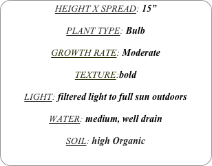 HEIGHT X SPREAD: 15”

PLANT TYPE: Bulb

GROWTH RATE: Moderate

TEXTURE:bold

LIGHT: filtered light to full sun outdoors

WATER: medium, well drain

SOIL: high Organic
