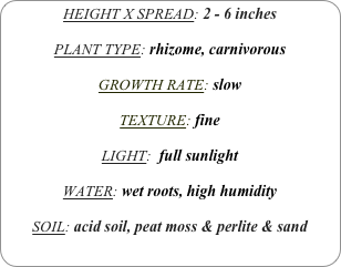 HEIGHT X SPREAD: 2 - 6 inches

PLANT TYPE: rhizome, carnivorous

GROWTH RATE: slow

TEXTURE: fine

LIGHT:  full sunlight

WATER: wet roots, high humidity

SOIL: acid soil, peat moss & perlite & sand
