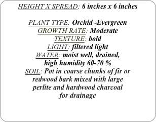 HEIGHT X SPREAD: 6 inches x 6 inches

PLANT TYPE: Orchid -Evergreen
GROWTH RATE: Moderate
TEXTURE: bold
LIGHT: filtered light
WATER: moist well, drained, 
high humidity 60-70 %
SOIL: Pot in coarse chunks of fir or redwood bark mixed with large perlite and hardwood charcoal for drainage
