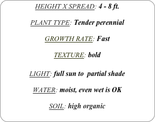HEIGHT X SPREAD: 4 - 8 ft.

PLANT TYPE: Tender perennial

GROWTH RATE: Fast

TEXTURE: bold

LIGHT: full sun to  partial shade

WATER: moist, even wet is OK 

SOIL: high organic
