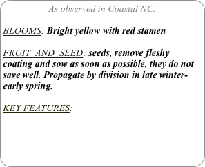 As observed in Coastal NC.

BLOOMS: Bright yellow with red stamen

FRUIT  AND  SEED: seeds, remove fleshy coating and sow as soon as possible, they do not save well. Propagate by division in late winter- early spring.

KEY FEATURES: 