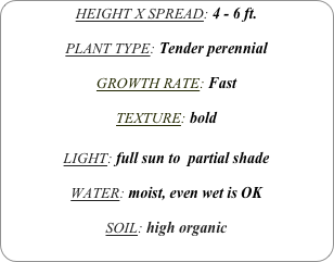 HEIGHT X SPREAD: 4 - 6 ft.

PLANT TYPE: Tender perennial

GROWTH RATE: Fast

TEXTURE: bold

LIGHT: full sun to  partial shade

WATER: moist, even wet is OK 

SOIL: high organic
