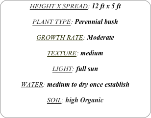 HEIGHT X SPREAD: 12 ft x 5 ft

PLANT TYPE: Perennial bush

GROWTH RATE: Moderate

TEXTURE: medium

LIGHT: full sun

WATER: medium to dry once establish

SOIL: high Organic
