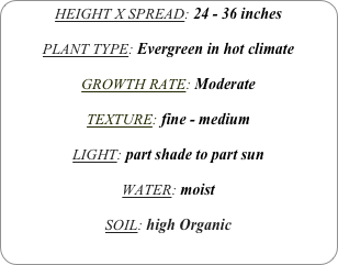 HEIGHT X SPREAD: 24 - 36 inches

PLANT TYPE: Evergreen in hot climate

GROWTH RATE: Moderate

TEXTURE: fine - medium

LIGHT: part shade to part sun

WATER: moist

SOIL: high Organic
