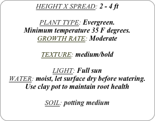HEIGHT X SPREAD: 2 - 4 ft

PLANT TYPE: Evergreen.
Minimum temperature 35 F degrees.
GROWTH RATE: Moderate

TEXTURE: medium/bold

LIGHT: Full sun
WATER: moist, let surface dry before watering.
Use clay pot to maintain root health

SOIL: potting medium
