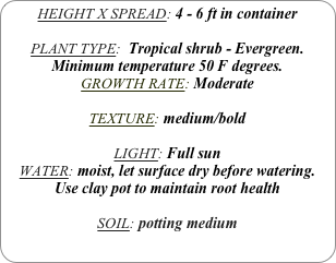 HEIGHT X SPREAD: 4 - 6 ft in container

PLANT TYPE:  Tropical shrub - Evergreen.
Minimum temperature 50 F degrees.
GROWTH RATE: Moderate

TEXTURE: medium/bold

LIGHT: Full sun
WATER: moist, let surface dry before watering.
Use clay pot to maintain root health

SOIL: potting medium
