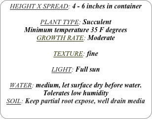 HEIGHT X SPREAD: 4 - 6 inches in container

PLANT TYPE: Succulent
Minimum temperature 35 F degrees
GROWTH RATE: Moderate

TEXTURE: fine

LIGHT: Full sun

WATER: medium, let surface dry before water.
Tolerates low humidity
SOIL: Keep partial root expose, well drain media
