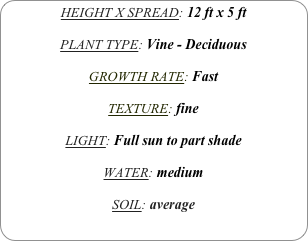 HEIGHT X SPREAD: 12 ft x 5 ft

PLANT TYPE: Vine - Deciduous

GROWTH RATE: Fast

TEXTURE: fine

LIGHT: Full sun to part shade

WATER: medium

SOIL: average
