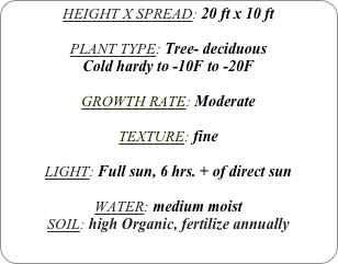 HEIGHT X SPREAD: 20 ft x 10 ft

PLANT TYPE: Tree- deciduous
Cold hardy to -10F to -20F

GROWTH RATE: Moderate

TEXTURE: fine

LIGHT: Full sun, 6 hrs. + of direct sun

WATER: medium moist
SOIL: high Organic, fertilize annually
