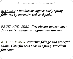 As observed in Coastal NC.

BLOOMS: First blooms appear early spring
followed by attractive red seed pods.


FRUIT  AND  SEED: first blooms appear early June and continue throughout the summer


KEY FEATURES: attractive foliage and graceful shape. Colorful seed pods in spring. Excellent fall color