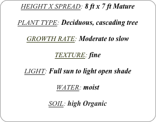 HEIGHT X SPREAD: 8 ft x 7 ft Mature

PLANT TYPE: Deciduous, cascading tree

GROWTH RATE: Moderate to slow

TEXTURE: fine

LIGHT: Full sun to light open shade

WATER: moist

SOIL: high Organic
