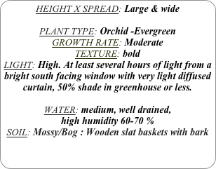 HEIGHT X SPREAD: Large & wide

PLANT TYPE: Orchid -Evergreen
GROWTH RATE: Moderate
TEXTURE: bold
LIGHT: High. At least several hours of light from a bright south facing window with very light diffused curtain, 50% shade in greenhouse or less. 

WATER: medium, well drained, 
high humidity 60-70 %
SOIL: Mossy/Bog : Wooden slat baskets with bark
