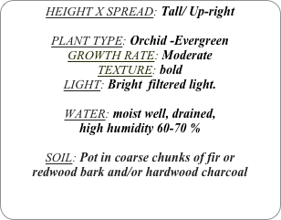 HEIGHT X SPREAD: Tall/ Up-right

PLANT TYPE: Orchid -Evergreen
GROWTH RATE: Moderate
TEXTURE: bold
LIGHT: Bright  filtered light.

WATER: moist well, drained, 
high humidity 60-70 %

SOIL: Pot in coarse chunks of fir or redwood bark and/or hardwood charcoal 
