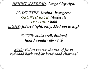 HEIGHT X SPREAD: Large / Up-right

PLANT TYPE: Orchid -Evergreen
GROWTH RATE: Moderate
TEXTURE: bold
LIGHT: filtered light, only. Medium to high

WATER: moist well, drained, 
high humidity 60-70 %

SOIL: Pot in coarse chunks of fir or redwood bark and/or hardwood charcoal 
