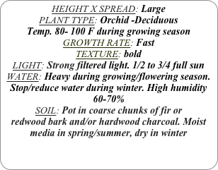 HEIGHT X SPREAD: Large
PLANT TYPE: Orchid -Deciduous
Temp. 80- 100 F during growing season
GROWTH RATE: Fast
TEXTURE: bold
LIGHT: Strong filtered light. 1/2 to 3/4 full sun
WATER: Heavy during growing/flowering season. Stop/reduce water during winter. High humidity 60-70%
SOIL: Pot in coarse chunks of fir or redwood bark and/or hardwood charcoal. Moist media in spring/summer, dry in winter
