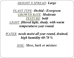 HEIGHT X SPREAD: Large

PLANT TYPE: Orchid - Evergreen
GROWTH RATE: Moderate
TEXTURE: bold
LIGHT: filtered light, shady. with warm temperatures year round.

WATER: needs moist all year round, drained, 
high humidity 60-70 %

SOIL: Moss, bark or mixture 
