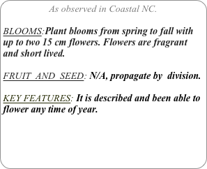 As observed in Coastal NC.

BLOOMS:Plant blooms from spring to fall with up to two 15 cm flowers. Flowers are fragrant and short lived.
FRUIT  AND  SEED: N/A, propagate by  division.

KEY FEATURES: It is described and been able to flower any time of year.