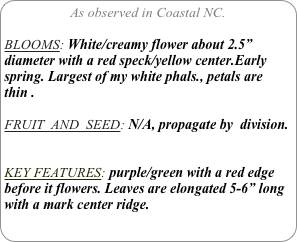 As observed in Coastal NC.

BLOOMS: White/creamy flower about 2.5” diameter with a red speck/yellow center.Early spring. Largest of my white phals., petals are thin .

FRUIT  AND  SEED: N/A, propagate by  division.


KEY FEATURES: purple/green with a red edge before it flowers. Leaves are elongated 5-6” long with a mark center ridge.