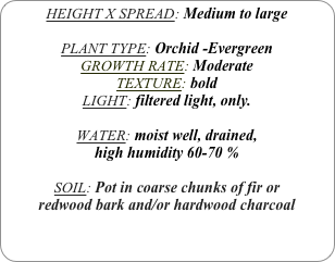 HEIGHT X SPREAD: Medium to large

PLANT TYPE: Orchid -Evergreen
GROWTH RATE: Moderate
TEXTURE: bold
LIGHT: filtered light, only.

WATER: moist well, drained, 
high humidity 60-70 %

SOIL: Pot in coarse chunks of fir or redwood bark and/or hardwood charcoal 
