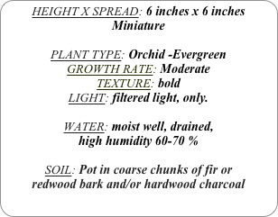 HEIGHT X SPREAD: 6 inches x 6 inches Miniature

PLANT TYPE: Orchid -Evergreen
GROWTH RATE: Moderate
TEXTURE: bold
LIGHT: filtered light, only.

WATER: moist well, drained, 
high humidity 60-70 %

SOIL: Pot in coarse chunks of fir or redwood bark and/or hardwood charcoal 
