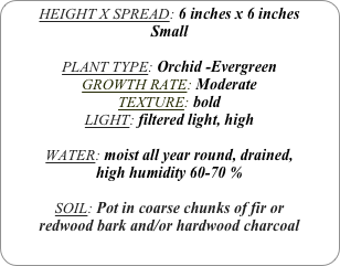 HEIGHT X SPREAD: 6 inches x 6 inches
Small

PLANT TYPE: Orchid -Evergreen
GROWTH RATE: Moderate
TEXTURE: bold
LIGHT: filtered light, high

WATER: moist all year round, drained, 
high humidity 60-70 %

SOIL: Pot in coarse chunks of fir or redwood bark and/or hardwood charcoal 

