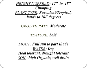 HEIGHT X SPREAD: 12”  to  18”
Clumping
PLANT TYPE: Succulent/Tropical,
 hardy to 20F degrees

GROWTH RATE: Moderate

TEXTURE: bold

LIGHT: Full sun to part shade
WATER: Dry
Heat tolerant, drought tolerant
SOIL: high Organic, well drain
