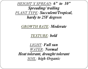 HEIGHT X SPREAD: 6”  to  10”
Spreading/ trailing
PLANT TYPE: Succulent/Tropical,
 hardy to 25F degrees

GROWTH RATE: Moderate

TEXTURE: bold

LIGHT: Full sun
WATER: Normal
Heat tolerant, drought tolerant
SOIL: high Organic

