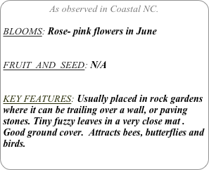 As observed in Coastal NC.

BLOOMS: Rose- pink flowers in June


FRUIT  AND  SEED: N/A


KEY FEATURES: Usually placed in rock gardens where it can be trailing over a wall, or paving stones. Tiny fuzzy leaves in a very close mat . Good ground cover.  Attracts bees, butterflies and birds.