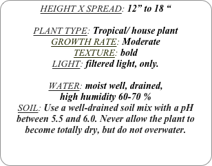 HEIGHT X SPREAD: 12” to 18 “

PLANT TYPE: Tropical/ house plant
GROWTH RATE: Moderate
TEXTURE: bold
LIGHT: filtered light, only.

WATER: moist well, drained, 
high humidity 60-70 %
SOIL: Use a well-drained soil mix with a pH between 5.5 and 6.0. Never allow the plant to become totally dry, but do not overwater.

