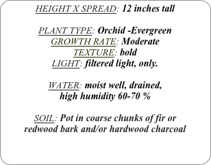 HEIGHT X SPREAD: 12 inches tall

PLANT TYPE: Orchid -Evergreen
GROWTH RATE: Moderate
TEXTURE: bold
LIGHT: filtered light, only.

WATER: moist well, drained, 
high humidity 60-70 %

SOIL: Pot in coarse chunks of fir or redwood bark and/or hardwood charcoal 
