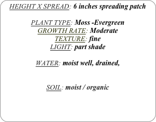HEIGHT X SPREAD: 6 inches spreading patch

PLANT TYPE: Moss -Evergreen
GROWTH RATE: Moderate
TEXTURE: fine
LIGHT: part shade

WATER: moist well, drained, 


SOIL: moist / organic
