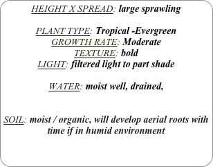 HEIGHT X SPREAD: large sprawling

PLANT TYPE: Tropical -Evergreen
GROWTH RATE: Moderate
TEXTURE: bold
LIGHT: filtered light to part shade

WATER: moist well, drained, 


SOIL: moist / organic, will develop aerial roots with time if in humid environment
