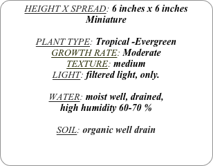 HEIGHT X SPREAD: 6 inches x 6 inches Miniature

PLANT TYPE: Tropical -Evergreen
GROWTH RATE: Moderate
TEXTURE: medium
LIGHT: filtered light, only.

WATER: moist well, drained, 
high humidity 60-70 %

SOIL: organic well drain
