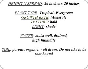 HEIGHT X SPREAD: 20 inches x 20 inches

PLANT TYPE: Tropical -Evergreen
GROWTH RATE: Moderate
TEXTURE: bold
LIGHT: shade

WATER: moist well, drained, 
high humidity 

SOIL: porous, organic, well drain. Do not like to be root bound
