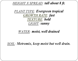 HEIGHT X SPREAD: tall about 8 ft.

PLANT TYPE: Evergreen tropical
GROWTH RATE: fast
TEXTURE: bold
LIGHT: sunny

WATER: moist, well drained 


SOIL: Metromix, keep moist but well drain.