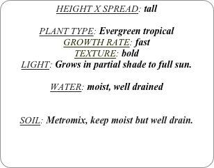 HEIGHT X SPREAD: tall

PLANT TYPE: Evergreen tropical
GROWTH RATE: fast
TEXTURE: bold
LIGHT: Grows in partial shade to full sun.

WATER: moist, well drained 


SOIL: Metromix, keep moist but well drain.
