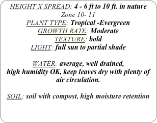 HEIGHT X SPREAD: 4 - 6 ft to 10 ft. in nature
Zone 10- 11
PLANT TYPE: Tropical -Evergreen
GROWTH RATE: Moderate
TEXTURE: bold
LIGHT: full sun to partial shade

WATER: average, well drained, 
high humidity OK, keep leaves dry with plenty of air circulation.

SOIL: soil with compost, high moisture retention
