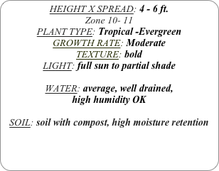 HEIGHT X SPREAD: 4 - 6 ft.
Zone 10- 11
PLANT TYPE: Tropical -Evergreen
GROWTH RATE: Moderate
TEXTURE: bold
LIGHT: full sun to partial shade

WATER: average, well drained, 
high humidity OK

SOIL: soil with compost, high moisture retention
