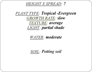 HEIGHT X SPREAD: ?

PLANT TYPE: Tropical -Evergreen
GROWTH RATE: slow
TEXTURE: average
LIGHT: partial shade

WATER: moderate


SOIL: Potting soil
