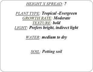 HEIGHT X SPREAD: ?

PLANT TYPE: Tropical -Evergreen
GROWTH RATE: Moderate
TEXTURE: bold
LIGHT: Prefers bright, indirect light

WATER: medium to dry 


SOIL: Potting soil
