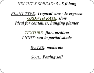 HEIGHT X SPREAD: 3 - 8 ft long

PLANT TYPE: Tropical vine - Evergreen
GROWTH RATE: slow
Ideal for container, hanging planter

TEXTURE: fine- medium
LIGHT: sun to partial shade

WATER: moderate

SOIL: Potting soil
