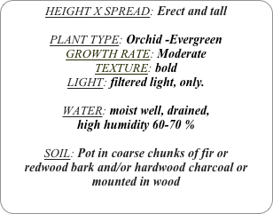 HEIGHT X SPREAD: Erect and tall

PLANT TYPE: Orchid -Evergreen
GROWTH RATE: Moderate
TEXTURE: bold
LIGHT: filtered light, only.

WATER: moist well, drained, 
high humidity 60-70 %

SOIL: Pot in coarse chunks of fir or redwood bark and/or hardwood charcoal or mounted in wood
