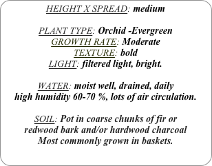 HEIGHT X SPREAD: medium

PLANT TYPE: Orchid -Evergreen
GROWTH RATE: Moderate
TEXTURE: bold
LIGHT: filtered light, bright.

WATER: moist well, drained, daily
high humidity 60-70 %, lots of air circulation.

SOIL: Pot in coarse chunks of fir or redwood bark and/or hardwood charcoal 
Most commonly grown in baskets.
