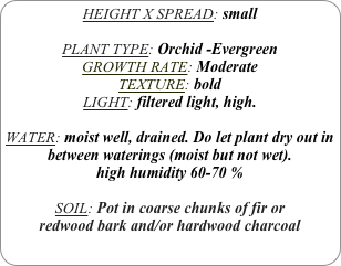 HEIGHT X SPREAD: small

PLANT TYPE: Orchid -Evergreen
GROWTH RATE: Moderate
TEXTURE: bold
LIGHT: filtered light, high.

WATER: moist well, drained. Do let plant dry out in between waterings (moist but not wet).
high humidity 60-70 %

SOIL: Pot in coarse chunks of fir or redwood bark and/or hardwood charcoal 

